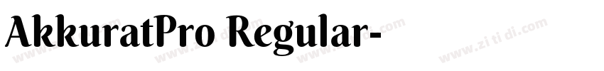 AkkuratPro Regular字体转换